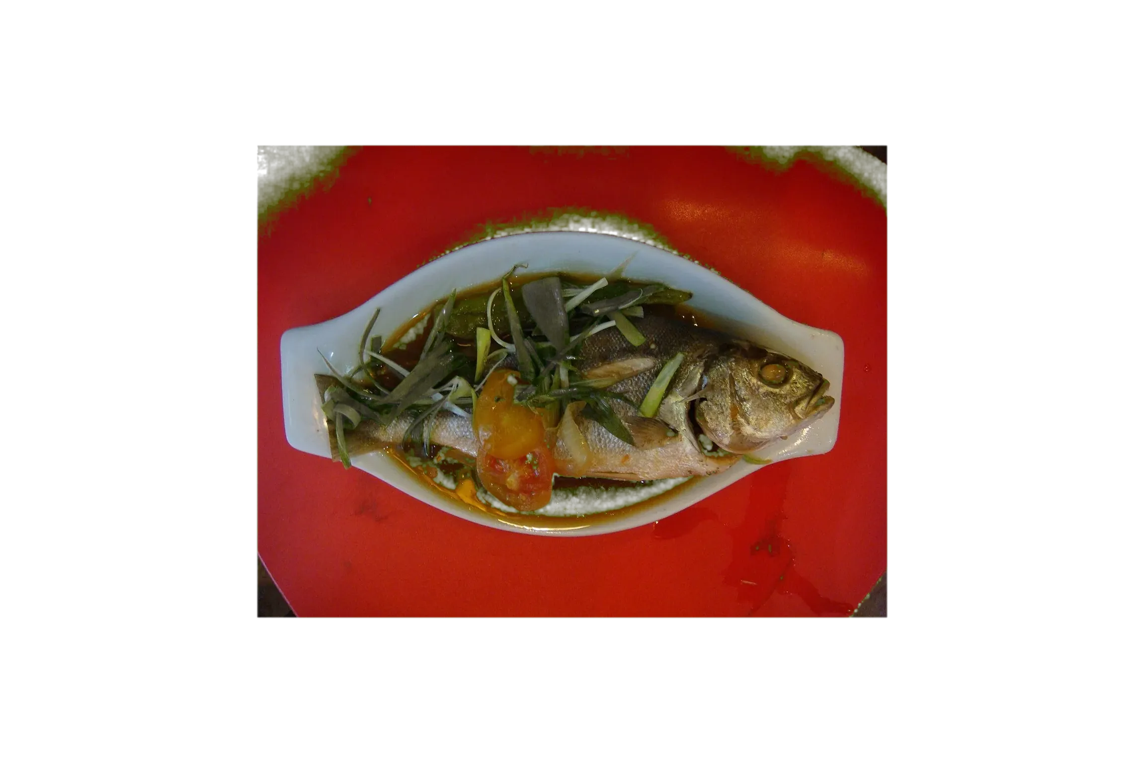 Western Pacific gizzard shad (Nematalosa come) specimen